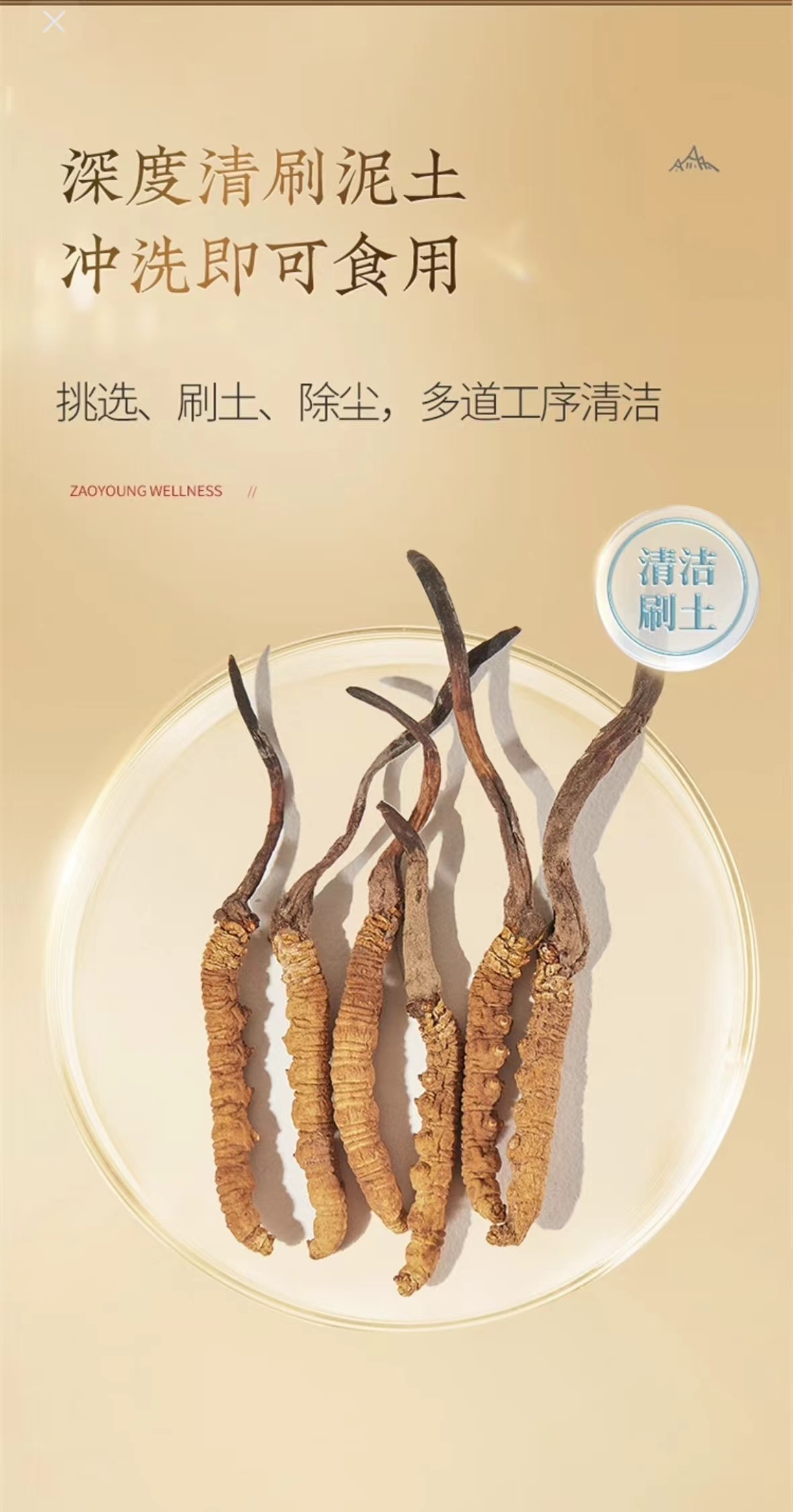 冬虫夏草(冬虫夏草)(冬虫夏草)_说明书_作用_效果_价格_百度健康商城 冬虫夏草(冬虫夏草)(冬虫夏草)_说明书_作用_效果_价格_百度健康商城