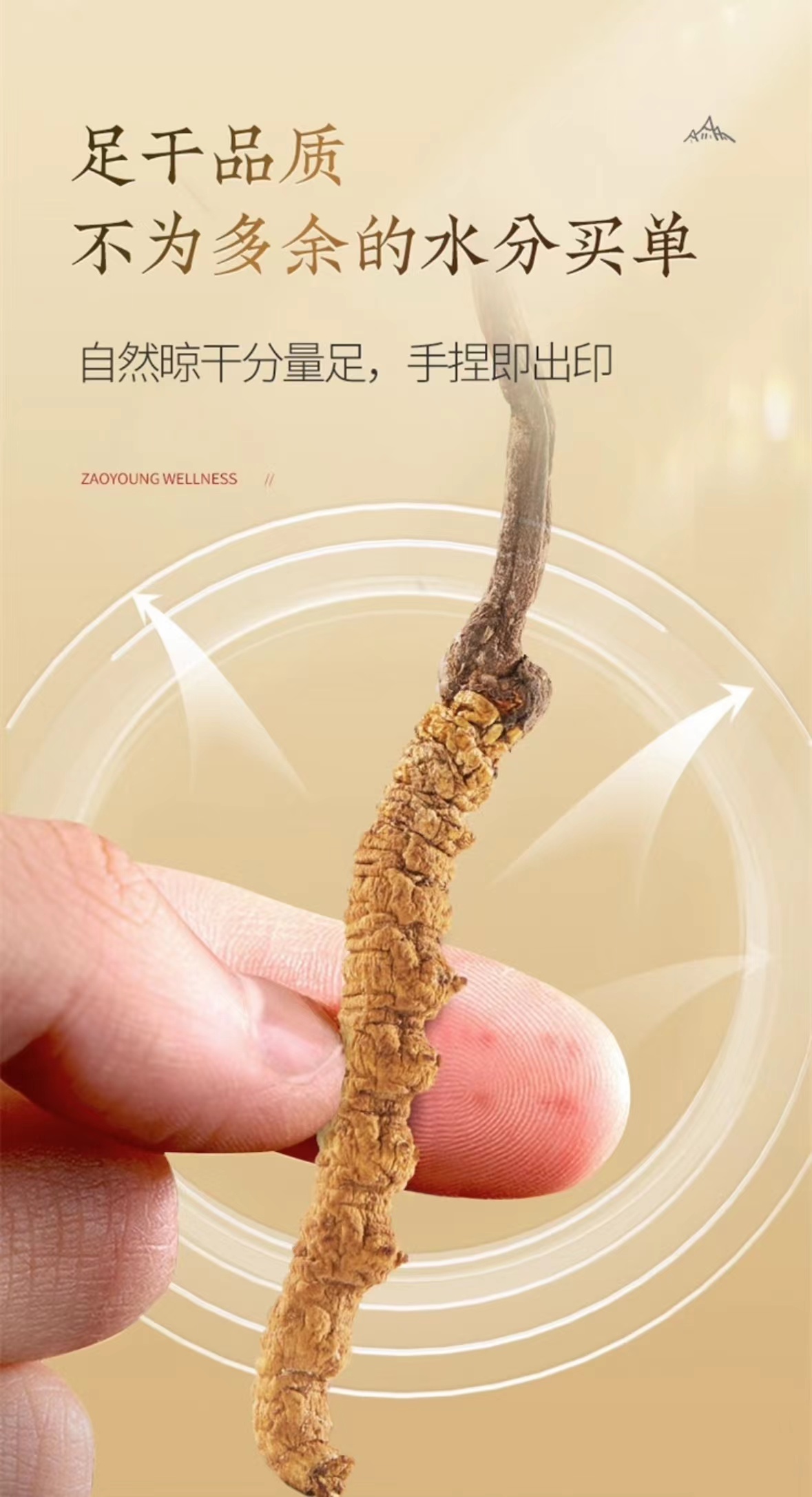 冬虫夏草(冬虫夏草)(冬虫夏草)_说明书_作用_效果_价格_百度健康商城 冬虫夏草(冬虫夏草)(冬虫夏草)_说明书_作用_效果_价格_百度健康商城